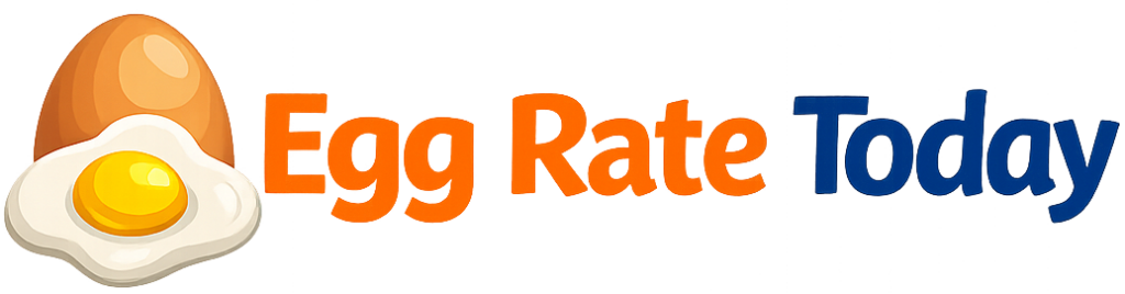 Egg rate today