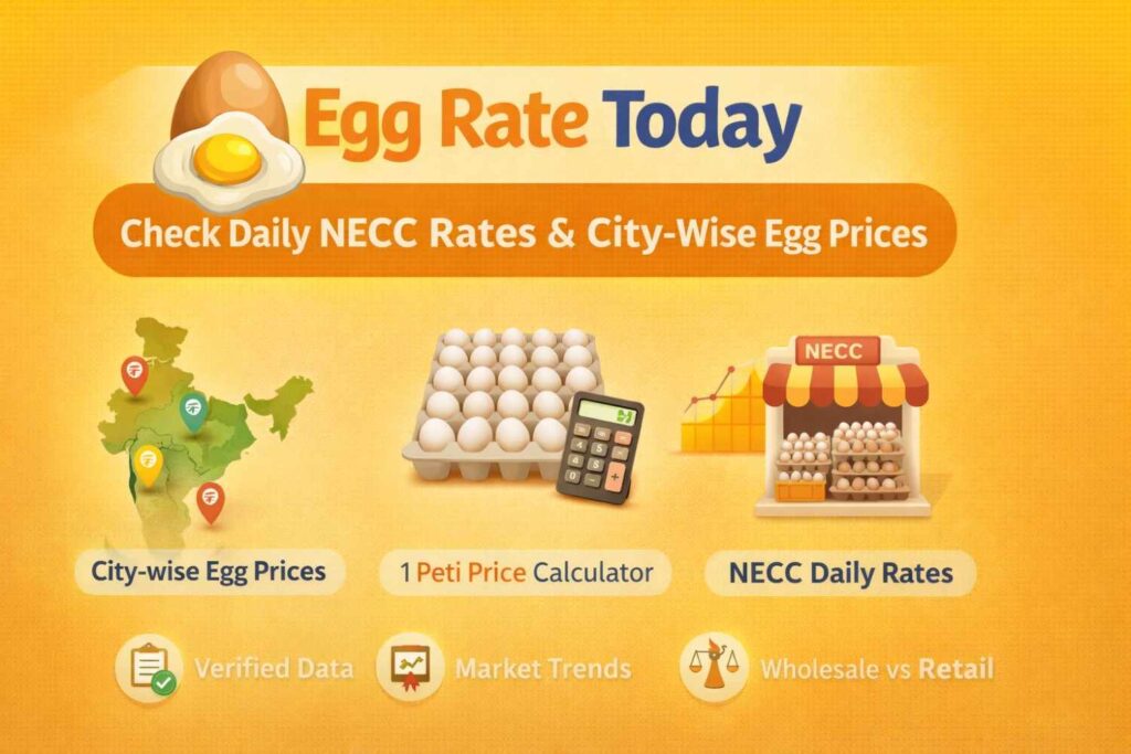 Egg rate today Egg rate today
