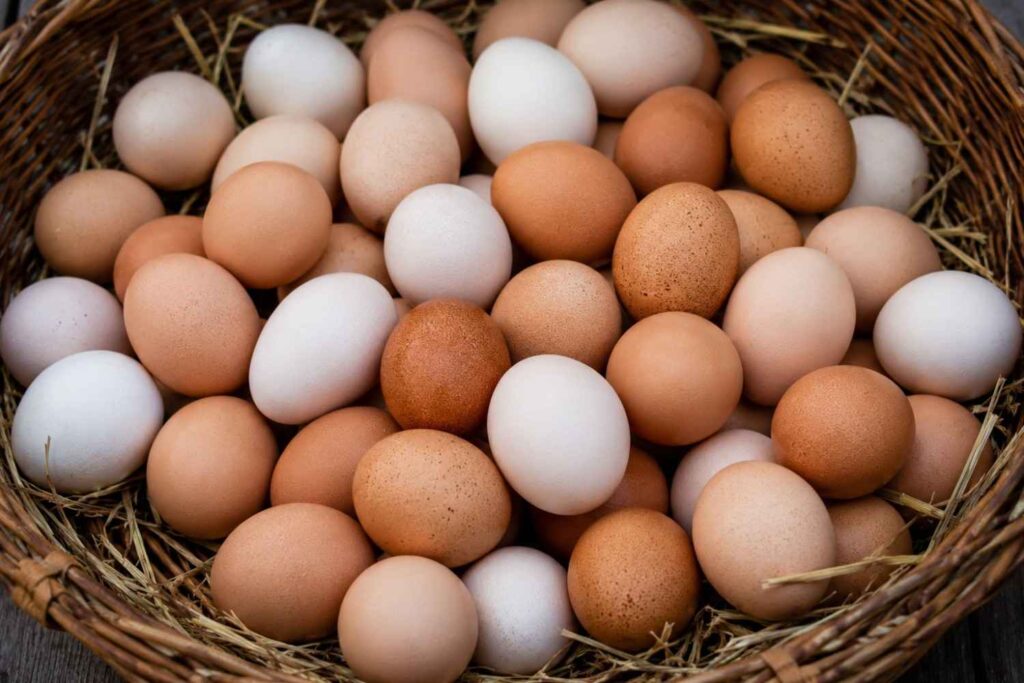 Today Egg Rate in India: Live NECC Price Per Egg, Tray & Peti 4 Today Egg Rate 2